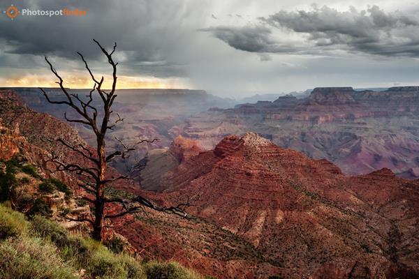 Best Landscape Photography Spots in Grand Canyon National Park