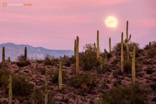 Best Landscape Photography Spots in Southern Arizona