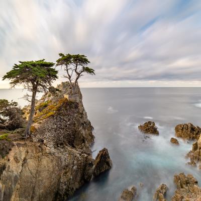 California - Iconic 17-Mile Drive